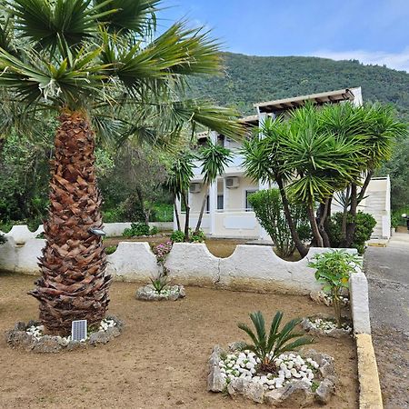 Villa Elena إيبسوس المظهر الخارجي الصورة